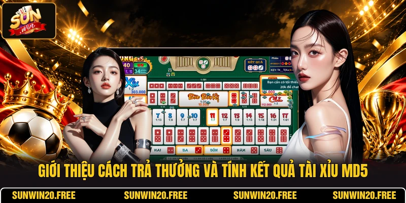 Giới thiệu cách trả thưởng và tính kết quả Tài Xỉu MD5